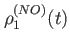 $ \rho^{(NO)}_1(t)$