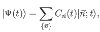 $\displaystyle \vert \Psi (t) \rangle = \sum_{\lbrace \vec{n} \rbrace} C_{\vec{n}}(t) \vert \vec{n};t\rangle,$