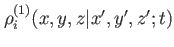 $ \rho_i^{(1)}(x,y,z\vert x',y',z';t)$