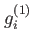 $ g^{(1)}_i$