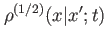 $ \rho^{(1/2)}(x\vert x';t)$
