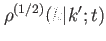 $ \rho^{(1/2)}(k\vert k';t)$