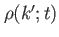 $ \rho(k';t)$