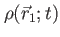 $ \rho(\vec{r}_1;t)$