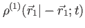 $ \rho^{(1)}(\vec{r}_1 \vert -\vec{r}_1;t) $