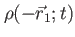 $ \rho(-\vec{r}_1;t)$