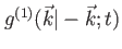 $ g^{(1)}(\vec{k} \vert - \vec{k};t)$